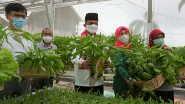 Bentuk Urban Farming, Sarana Jaya Selalu Hadir Di Tengah Pandemi