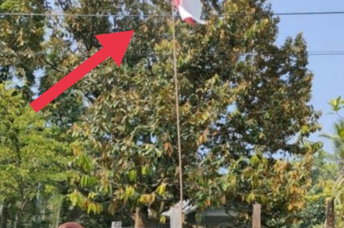 Waduh! Nenek Sari Memasang Bendera Terbalik, Didatangi Polisi, Lihat yang Terjadi