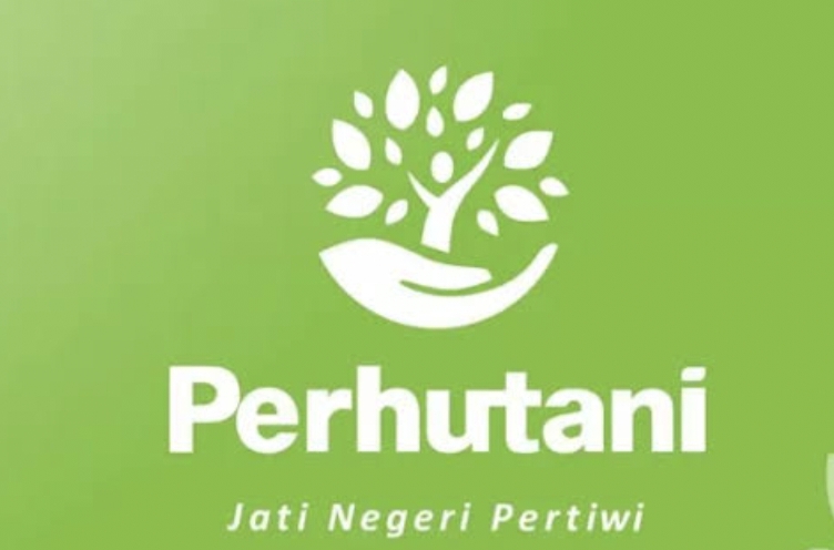 Langsung Jadi Karyawan Tetap, Perum Perhutani Buka Lowongan Kerja secara Besar-besaran, Ini Posisi dan Batas Pendaftarannya