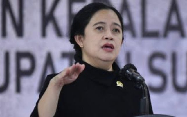 Gibran Mau Taklukan Jawa Tengah Basis PDIP, Puan Maharani Bereaksi Serius, Simak!