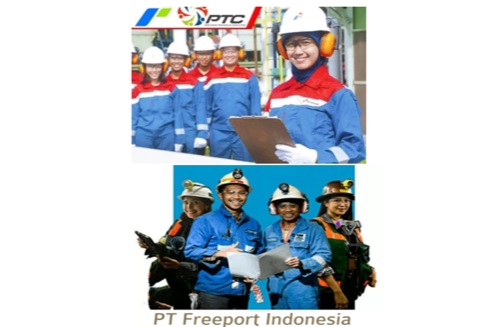 TERBARU! PT Pertamina dan Freeport Indonesia Membuka Lowongan Kerja sampai 4 Mei 2024, Usia Maksimal 56 tahun