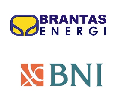 BUMN PT Brantas Energi dan Bank BNI Buka Lowongan Kerja Hingga 5 Juli 2024, Minimal Berijazah SMA/SMK/S1/S2, Ini Posisi dan Batas Umurnya