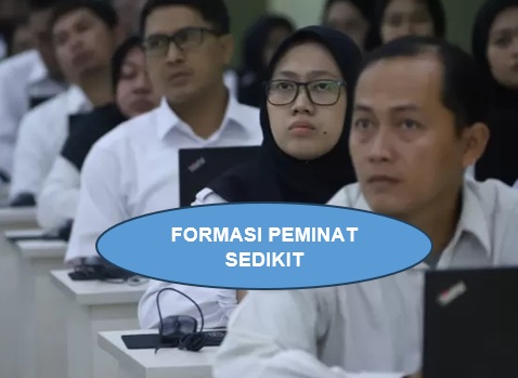 Inilah 6 Formasi CPNS 2024 dengan Peminat Sedikit, Butuh 809 Pegawai! Daftar Sekarang!