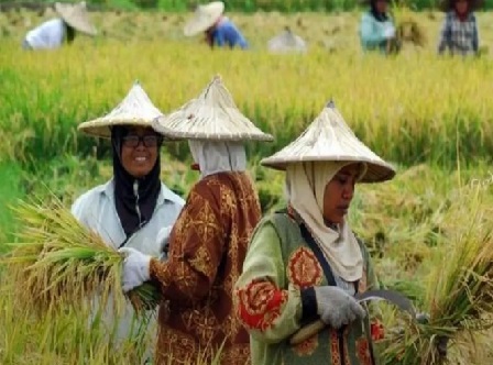 Wahai Nelayan dan Petani Diseluruh RI, Silahkan Bersiap-siap, Ada Kejutan Membahagiakan, Ini Informasinya!