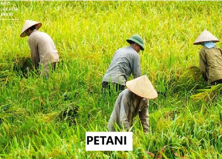 Pemerintah Terbitkan Kebijakan Baru, Penghapusan Utang untuk Nelayan, Petani & UMKM Tidak Sembarangan, Wajib Penuhi Syarat Ini