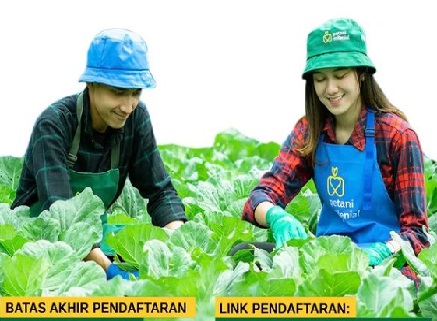 Pemerintah Buka Lowongan Kerja Besar-besaran Sebagai Petani 2024, Gaji Min 2-10 Juta Perbulan, Berikut Link dan Cara Daftarnya