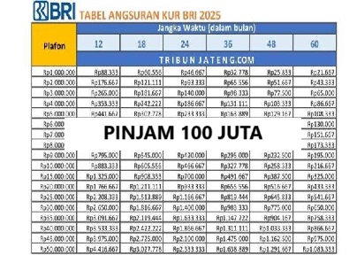 Bisa Pinjam Hingga 100 Juta! Ini Syarat Terbaru Pengajuan KUR BRI 2025, Masyarakat Semakin Dipermudah